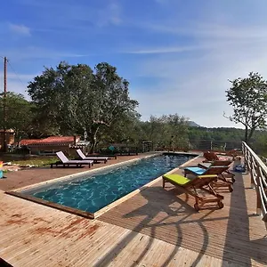 Dépend Atypiq Bohème,piscine Chauffée Toute L'année, Jacuzzi,sauna,loisirs Nature Le Beausset